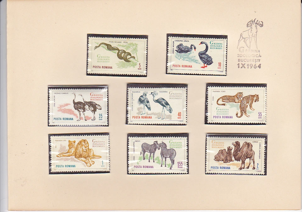 罗马尼亚 1964 年,布加勒斯特动物园,协议文件夹,动物,狮子,蛇,斑马 — 第 1/1 张图片