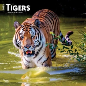 Calendario Tigres 2025 16 meses pared cuadrada Browntrout BT75819 - Imagen 1 de 9