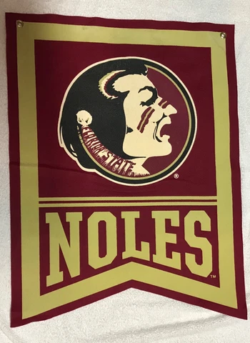 Florida State Seminoles NCAA Banner Cover