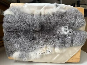 JUMBO Chinchilla Rabbit Skin - Natural. Soft, High Quality Fur 19x11 Inches - Picture 1 of 6