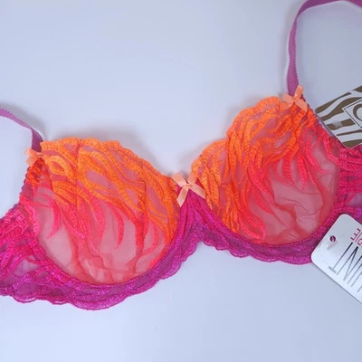 38B ombre sujetador de encaje transparente sin forro sujetador de balconette sujetadores de lujo lencería europea Foto 1 de 4