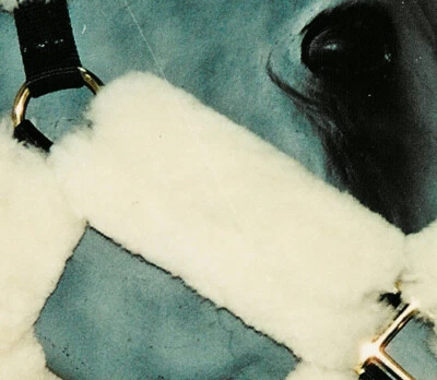 1 PAR Almohadillas de correa de brida para mejillas de piel de oveja de 6 pulgadas Caballo Pony Halter Bozal de pastoreo Foto 1 de 4