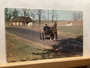 Amish Courting Buggy Passing Schoolhouse: Pennsylvania - Vintage Postcard - Picture 1 of 3