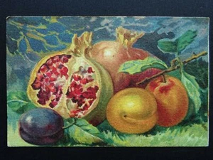 Postal italiana de estudio granada/paca y ciruela c1910 bayas y nueces - Imagen 1 de 2