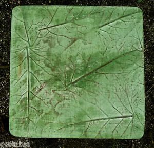 Leaf stepping stone concrete mold .150 abs plastic paver mould 16" x 16" x 1.25" - Picture 1 of 7