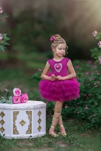 NWT Dollcake Sugar Plum Tiny Ballerina Tutu & Leotard Set Girls sz 5 - Picture 1 of 5