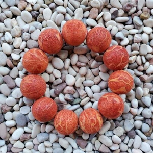 Pulsera de coral esponja roja indonesia genuina de 11 cuentas 22 mm natural #05 - Imagen 1 de 4