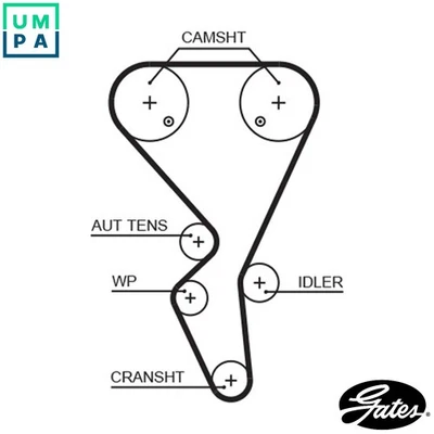 TIMING BELT 5581XS FOR PEUGEOT PARTNER/ORIGIN/Box/Body/MPV/PATAGONICA/URBANA - Image 1 of 4