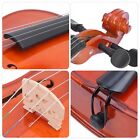 Viola Beginner With Bow Case Rosin Natural Color Stringed Instrument Va?35 Dob