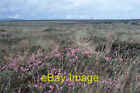 Photo 6X4 Moorland Near Bellacorick, North Mayo. Dooleeg The Cooling Towe C1990