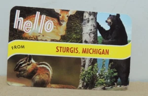 Postal Hello from Sturgis Michigan sin usar de colección ciervo oso ardilla - Imagen 1 de 2