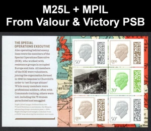 2025 VALOUR + VICTORY DEFINITIVES COMPLETE PANE from PSB CY10 Mint M25L + MPIL - Picture 1 of 3
