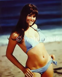 Barbi Benton attrice, modello 8X10 ristampa fotografica - Foto 1 di 1