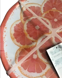 Grapefruit Melamine 11" Dinner Plates Cottage Shabby Outdoor Indoor Set of 4 - Picture 1 of 8