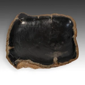 KLEINE SCHALE SCHALE BECKEN VERSTEINERTES HOLZ FOSSIL JAVA INDONESIEN UNBESTIMMTES ALTER - Bild 1 von 7