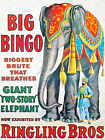 87336 ELEPHANT BIG BINGO RINGLING BROS BRUTE GIANT Wall Print Poster UK