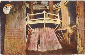 Forstgebäude AYPE 1909 Seattle, WA Expo Baumhaus Vintage Postkarte - Bild 1 von 2