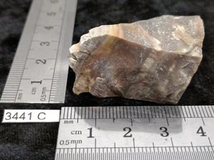 BOIS FOSSILE pierre brute mineraux collection pétrifié reiki esoterisme brut - Imagen 1 de 3
