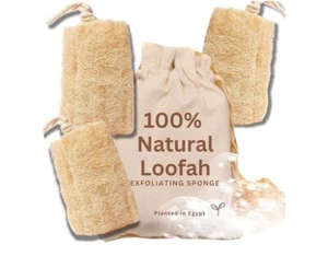 All Natural Loofah Sponge, Pack of 3 Real Egyptian Bath & Shower Exfoliating - Picture 1 of 9