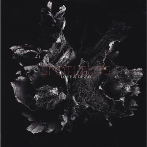 Spotlights - Love & Decay (Vinyl 2LP - 2019 - US - Original) - Bild 1 von 2