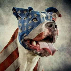 Pitbull # 5 - T Shirt Iron On Transfer - USA - Dog - Bild 1 von 1
