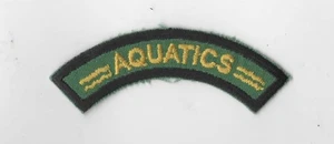 1988 Camp Barstow Indian Waters Council Aquatics Strip Patch BLK Bdr - Picture 1 of 1
