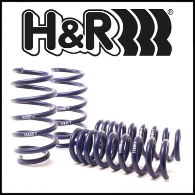 H&R Sport Lowering Springs Set fit 2015-2020 Dodge Charger/Challenger R/T / SRT8 - Image 1 of 2