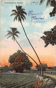 Hawaii - Twin Cocoanuts - Publ. Hawaii & South Seas Curio Co. 5 - Picture 1 of 2