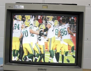 Sony PVM 1953 MD  Color Video Monitor - Picture 1 of 19