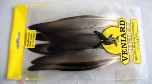 Veniard Mallard Duck Wing quills - Picture 1 of 1