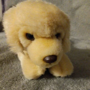 WEBKINZ Firma GOLDEN RETRIEVER Perro 10" Peluche SIN CÓDIGO WKSS2004 Animal de Peluche - Imagen 1 de 5