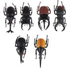 Simulation beetle toys special lifelike model insect toy teaching aids joke> q-5