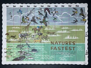 Vtg Natures Fastest Animals Paper Placemat School Home Decor Springprint #348 - Picture 1 of 13