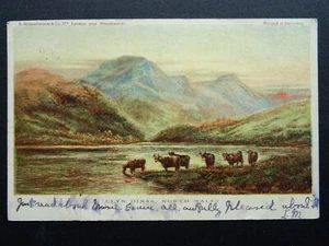 Gales Norte Gales LLYN DINAS c1903 UB Postal por S. Hildesheimer & Co. - Imagen 1 de 2