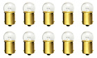 Box of 10 #81 Lamp Auto Bulb Automotive Lightbulbs 6.5V, 6.63W, BA15s base