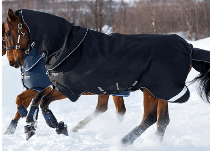 Horseware Amigo Super Bravo Plus Gr. 155 (6'9) Outdoordecke medium 250g - Bild 1 von 1