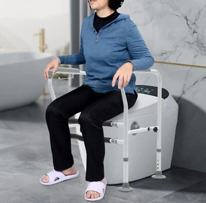 Toilet Frame Grab Bars Safety Rail Seat Handicap Assist Senior Arm rest US STOCK - Picture 1 of 15