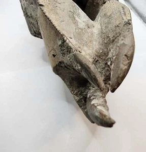 Authentic Indonesian Fossilized Lobster - Picture 1 of 6