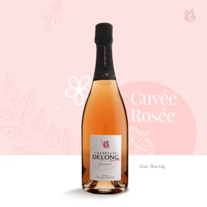 6 BOTTLES CHAMPAGNE cuvee ROSEE MARLENE DELONG - Imagen 1 de 1