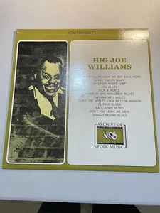 BIG JOE WILLIAMS Archive of Folk Music LP Everest FS-218 Blues vinyl EXCELLENT - Picture 1 of 6