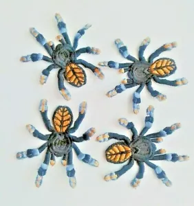 Spiders 4 pieces set psalmopoeus irminia Insect Handmade Embroidered Patch - Picture 1 of 1
