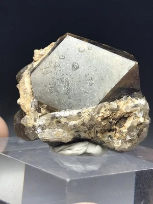 Granate de andradita raro de gran tamaño en matriz con pocos cuarzos pequeños de Nara Japón Foto 1 de 4