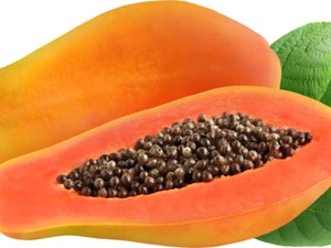 Große rote Papaya Pflanze aus dem karibischen Sonnenaufgang Sri Lanka - ... - Bild 1 von 5