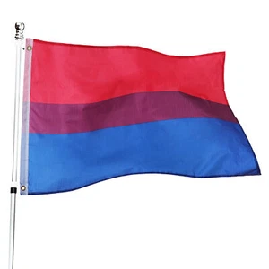 BANDERA DEL ORGULLO BISEXUAL 5X3FT POLIÉSTER DECORACIÓN INTERIOR EXTERIOR LGBTQ ORGULLO GAY - Imagen 1 de 8