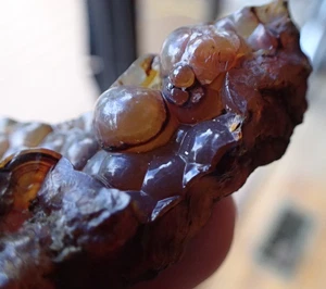 Botryoidal Fossil Coral Geode Fragment GA Agate Specimen Collection Gem WC66 - Picture 1 of 6