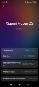 Xiaomi MI 13 Pro, 12/256GB, Ceramic black - Bild 1 von 7