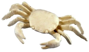 Cast Iron Nautical Tropical Beach Antiqued White Crab - Imagen 1 de 2
