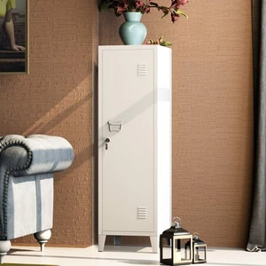 Metal Cabinet Home Office Storage Cabinets with Doors and Shelves Lockable Fi... - Picture 1 of 7