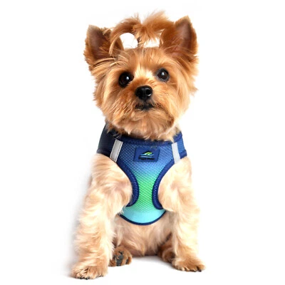 American River Choke Free Dog Harness Ombre Northern Lights Sizes XXS-3XL - Image 1 of 3