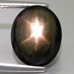 6.01_cts 100% Natural Excellent star lines Black Star Sapphire_Thailand - Picture 1 of 3